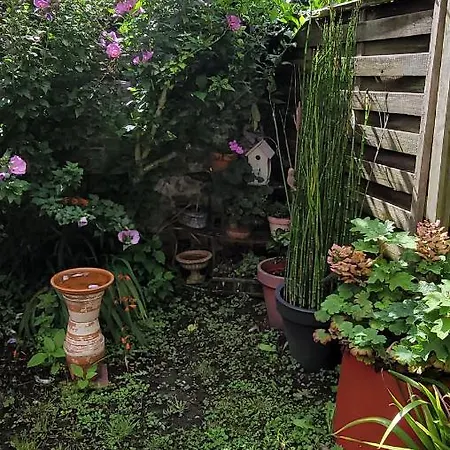 Le Jardin Des Murmures *