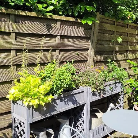 Le Jardin Des Murmures *