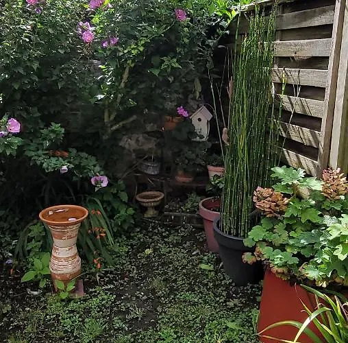 Le Jardin Des Murmures *