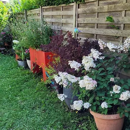 Le Jardin Des Murmures * Honfleur