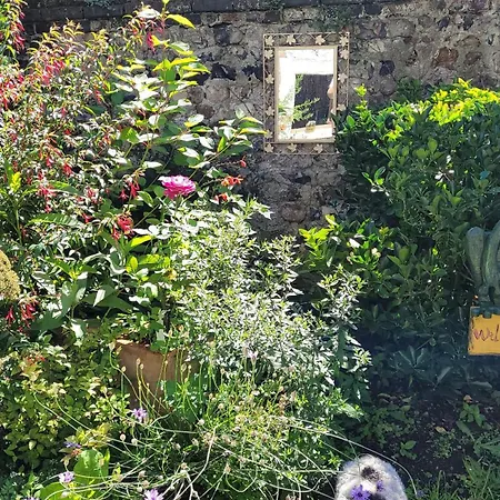 Le Jardin Des Murmures Honfleur