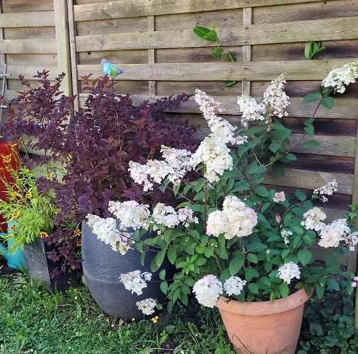 Le Jardin Des Murmures *