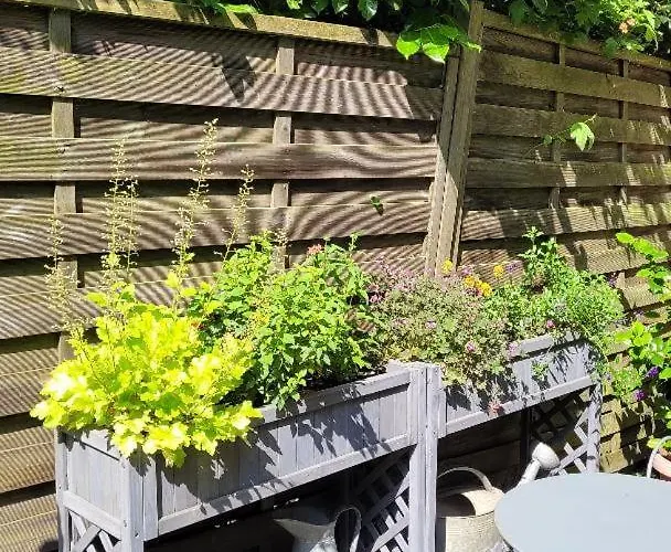 Le Jardin Des Murmures *